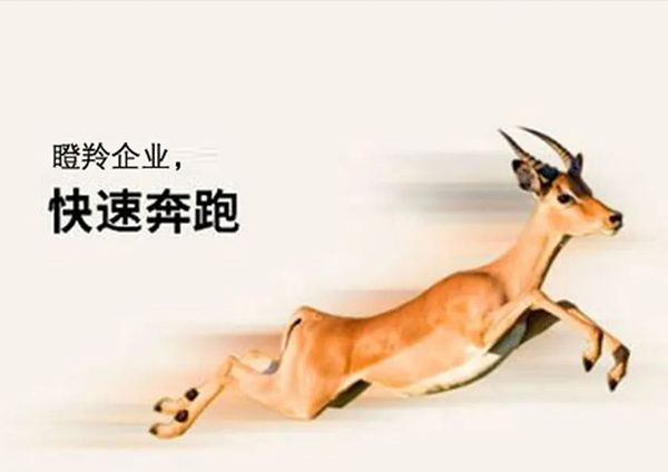 喜報！廣州研恒入選廣州市“瞪羚企業”
